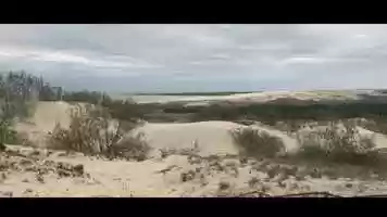 Free download Nature of Nida video and edit with RedcoolMedia movie maker MovieStudio video editor online and AudioStudio audio editor onlin