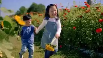 Free download Natures Yolk | Brand Video video and edit with RedcoolMedia movie maker MovieStudio video editor online and AudioStudio audio editor onlin