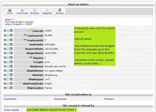 Download web tool or web app Nautilus 4 SQLServer