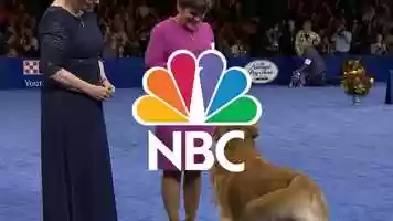 Free download NBC Logo animation video and edit with RedcoolMedia movie maker MovieStudio video editor online and AudioStudio audio editor onlin