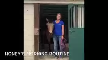 Free download NCEFT Horses Say Hay: Honey video and edit with RedcoolMedia movie maker MovieStudio video editor online and AudioStudio audio editor onlin