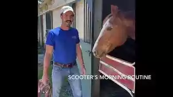 Free download NCEFT Horses Say Hay: Scooter video and edit with RedcoolMedia movie maker MovieStudio video editor online and AudioStudio audio editor onlin