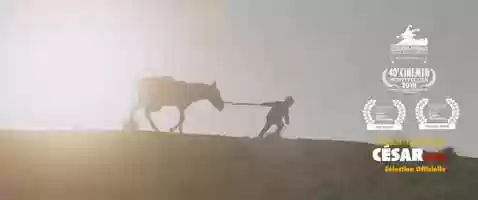 Free download NEFTA FOOTBALL CLUB | Bande annonce video and edit with RedcoolMedia movie maker MovieStudio video editor online and AudioStudio audio editor onlin