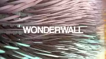 Free download NEON - Wonderwall video and edit with RedcoolMedia movie maker MovieStudio video editor online and AudioStudio audio editor onlin