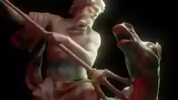 Free download Neptune video and edit with RedcoolMedia movie maker MovieStudio video editor online and AudioStudio audio editor onlin