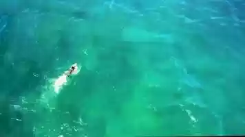 Free download NETFLIX : THE I-LAND_ACTION REEL for NICOLE MARINES video and edit with RedcoolMedia movie maker MovieStudio video editor online and AudioStudio audio editor onlin