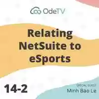 Free download NetSuite Freelancer Applies Skills as eSports Coach to Career as Consultant video and edit with RedcoolMedia movie maker MovieStudio video editor online and AudioStudio audio editor onlin