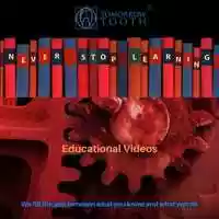 Free download Never Stop Learning video and edit with RedcoolMedia movie maker MovieStudio video editor online and AudioStudio audio editor onlin