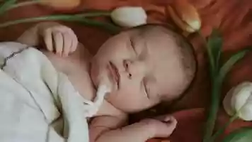 Free download newborn film video and edit with RedcoolMedia movie maker MovieStudio video editor online and AudioStudio audio editor onlin