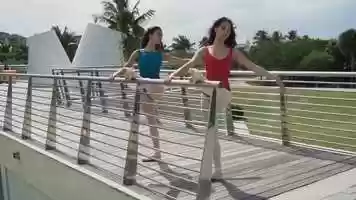 Free download New York Ballet Dancer - Sony a7r ii - FE 24-240 lens video and edit with RedcoolMedia movie maker MovieStudio video editor online and AudioStudio audio editor onlin