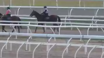 Free download Nicconi colt, Training Update, 23 July 2021 video and edit with RedcoolMedia movie maker MovieStudio video editor online and AudioStudio audio editor onlin