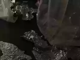 Free download Nicolas MACH video and edit with RedcoolMedia movie maker MovieStudio video editor online and AudioStudio audio editor onlin