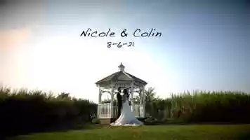 Free download Nicole  Colin Highlight Clip video and edit with RedcoolMedia movie maker MovieStudio video editor online and AudioStudio audio editor onlin