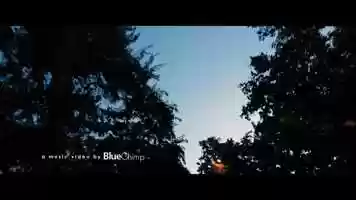 Free download No NEED - Garaj 13 (Music Video) video and edit with RedcoolMedia movie maker MovieStudio video editor online and AudioStudio audio editor onlin