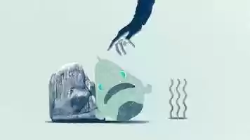 Free download NowThis - Fish Suffering video and edit with RedcoolMedia movie maker MovieStudio video editor online and AudioStudio audio editor onlin