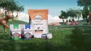 Free download Nutro_Commecial video and edit with RedcoolMedia movie maker MovieStudio video editor online and AudioStudio audio editor onlin