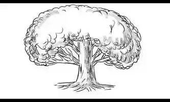 Free download Oak Tree Growing Big Drawing 2D Animation video and edit with RedcoolMedia movie maker MovieStudio video editor online and AudioStudio audio editor onlin