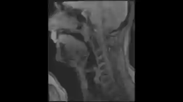 Free download Oboe_Film_08_en video and edit with RedcoolMedia movie maker MovieStudio video editor online and AudioStudio audio editor onlin