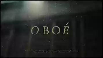 Free download Obo video and edit with RedcoolMedia movie maker MovieStudio video editor online and AudioStudio audio editor onlin