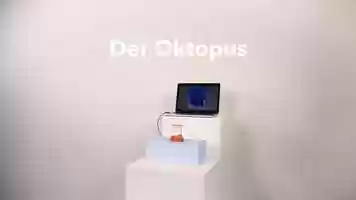 Free download Octopus video and edit with RedcoolMedia movie maker MovieStudio video editor online and AudioStudio audio editor onlin