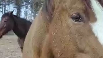 Free download Off the Track video and edit with RedcoolMedia movie maker MovieStudio video editor online and AudioStudio audio editor onlin