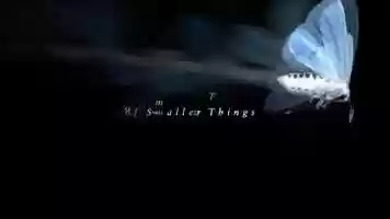 Free download of Smaller Things, 2019 video and edit with RedcoolMedia movie maker MovieStudio video editor online and AudioStudio audio editor onlin