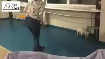 Free download Ok when humans gone video and edit with RedcoolMedia movie maker MovieStudio video editor online and AudioStudio audio editor onlin