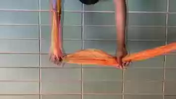 Free download One Elegant Affair for Lady Loo video and edit with RedcoolMedia movie maker MovieStudio video editor online and AudioStudio audio editor onlin