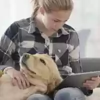 Free download Online Learning video and edit with RedcoolMedia movie maker MovieStudio video editor online and AudioStudio audio editor onlin