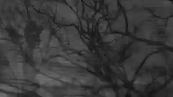 Free download ON THE MOUNTAIN in the rain video and edit with RedcoolMedia movie maker MovieStudio video editor online and AudioStudio audio editor onlin