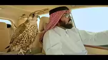 Free download Ooredoo Falcon 5G video and edit with RedcoolMedia movie maker MovieStudio video editor online and AudioStudio audio editor onlin