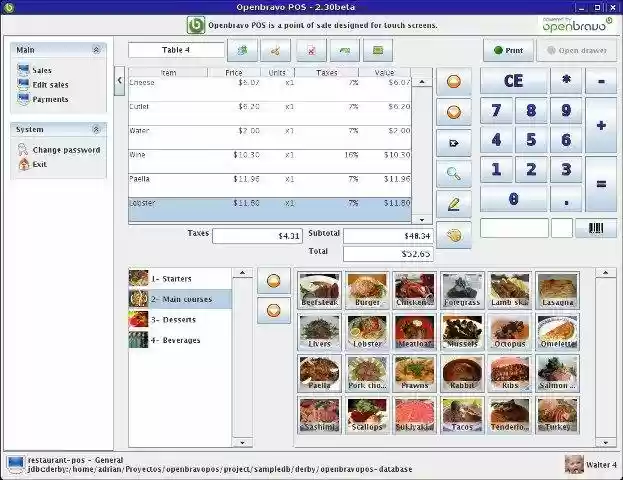 Download web tool or web app Openbravo Java POS