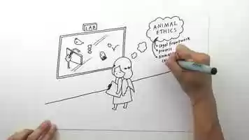 Free download OREI Animal Ethics video and edit with RedcoolMedia movie maker MovieStudio video editor online and AudioStudio audio editor onlin