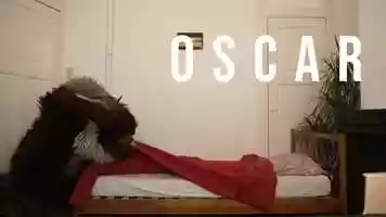 Free download OSCAR - De Dansers  De Theatertroep video and edit with RedcoolMedia movie maker MovieStudio video editor online and AudioStudio audio editor onlin