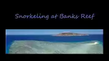 Free download Osmo Action - Underwater Footage video and edit with RedcoolMedia movie maker MovieStudio video editor online and AudioStudio audio editor onlin