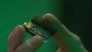 Free download Other Animals video and edit with RedcoolMedia movie maker MovieStudio video editor online and AudioStudio audio editor onlin