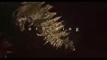 Free download OTHERING video and edit with RedcoolMedia movie maker MovieStudio video editor online and AudioStudio audio editor onlin
