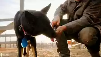 Free download Outback Trading CO  - Canyonland Gear video and edit with RedcoolMedia movie maker MovieStudio video editor online and AudioStudio audio editor onlin