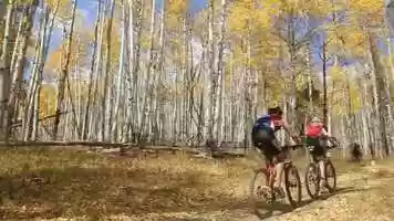 Free download Outside TV - 2010 Sam Bricker video and edit with RedcoolMedia movie maker MovieStudio video editor online and AudioStudio audio editor onlin