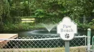 Free download Overview Video - Town and Country Animal Care Center video and edit with RedcoolMedia movie maker MovieStudio video editor online and AudioStudio audio editor onlin