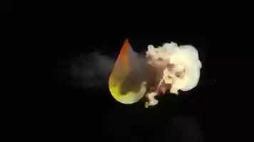 Free download OWTE FIRE LOGO ANIMATION video and edit with RedcoolMedia movie maker MovieStudio video editor online and AudioStudio audio editor onlin