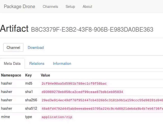 Download web tool or web app Package Drone