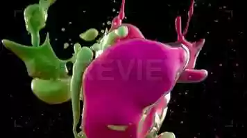 Free download Paints In Oil Stock Video video and edit with RedcoolMedia movie maker MovieStudio video editor online and AudioStudio audio editor onlin