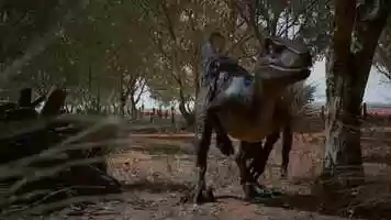 Free download Pankaj Kumar - Raptor Animation.avi video and edit with RedcoolMedia movie maker MovieStudio video editor online and AudioStudio audio editor onlin