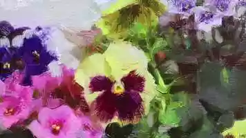 Free download Pansies  Violets (Trailer) video and edit with RedcoolMedia movie maker MovieStudio video editor online and AudioStudio audio editor onlin