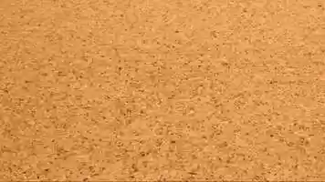 Free download Patapizza video and edit with RedcoolMedia movie maker MovieStudio video editor online and AudioStudio audio editor onlin