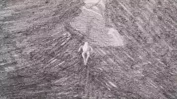 Free download Patks Stdi - promo animatic 2019. video and edit with RedcoolMedia movie maker MovieStudio video editor online and AudioStudio audio editor onlin