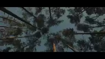 Free download Patrick Wulf - Trailer Langemacht, mit V:O video and edit with RedcoolMedia movie maker MovieStudio video editor online and AudioStudio audio editor onlin