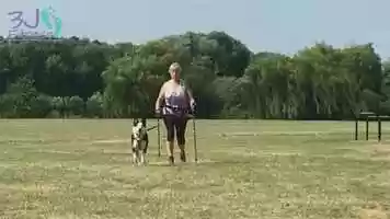 Free download Pawdic Walking with Blade video and edit with RedcoolMedia movie maker MovieStudio video editor online and AudioStudio audio editor onlin