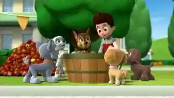 Free download PAW Patrol Good Pup Original Instrumental Soundtrack video and edit with RedcoolMedia movie maker MovieStudio video editor online and AudioStudio audio editor onlin